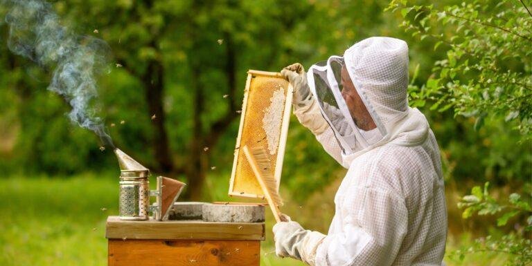 Bee Suits